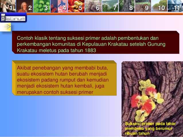 download buku ayah irfan hamka bab 10